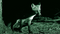 How does Night Vision work?