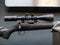 CZ 455 .17HMR