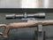 Mauser 25 Pure .308 Straight Pull