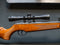 Remington Express Compact .177