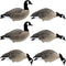 HD Full Body Lesser Canada Geese - 6 Pack