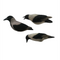 Final Approach Fully Flocked Last Pass Hooded Crow Decoys - 3 Pack