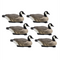 Final Approach Last Pass Canada Goose Floater - 6 Pack