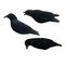Final Approach Last Pass Fully Flocked Crow Decoys - 3 Pack