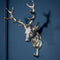 Culinary Concepts Stag Head Coat Hook CULINARY CONCEPTS Emmett & Stone Country Sports Ltd