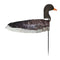 Final Approach Greylag Goose Socks