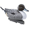 Final Approach Last Pass Pintail - 12 Pack