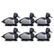 Final Approach LIVE Ringneck Decoys - 6 Pack