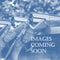 GUN00781 BANDT TIGER SD   GUN00781  no image Emmett & Stone Country Sports Ltd Emmett & Stone Country Sports Ltd