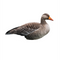 Final Approach Last Pass Greylag Goose Silhouette Decoys 12 Pack