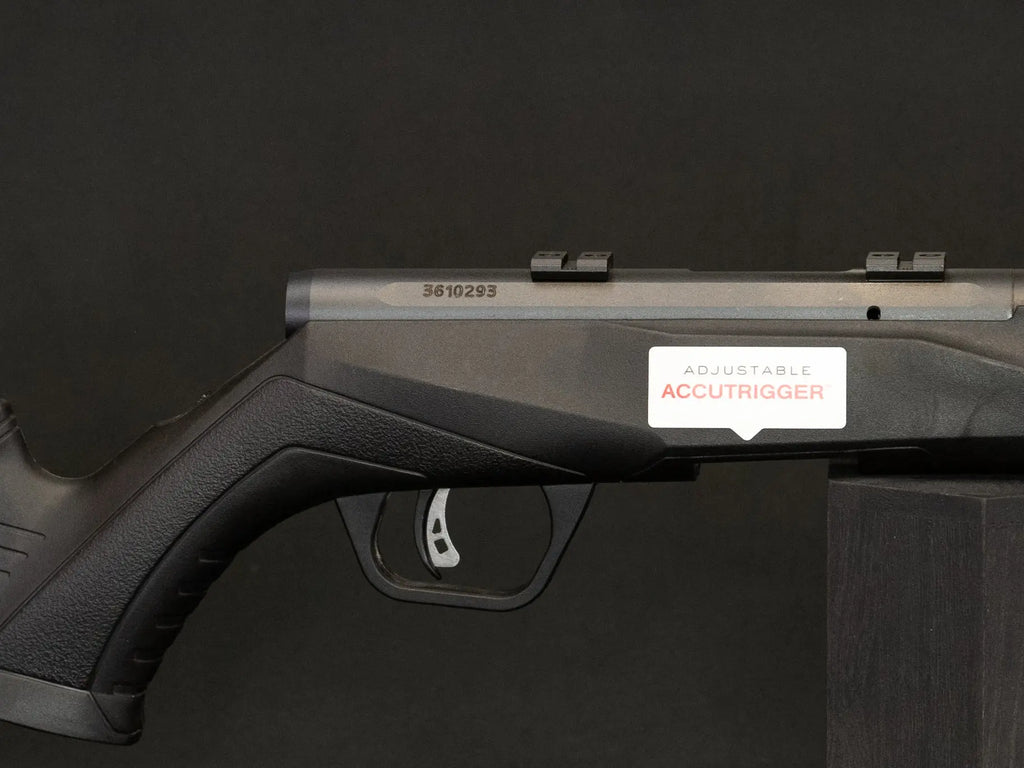 SAVAGE ARMS .17 HMR B17