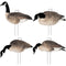 Final Approach Last Pass Honker Silhouette Decoys - 12 Pack
