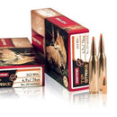 Norma TIPSTRIKE Varmint .243 Winchester 76gr