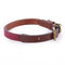 Le Chameau Cotton & Leather Dog Collar - Medium- in 2 colours LE CHAMEAU Emmett & Stone Country Sports Ltd